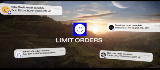 벡터, 지정가 주문 기능 추가…웹3 소셜 트레이딩 환경 확장